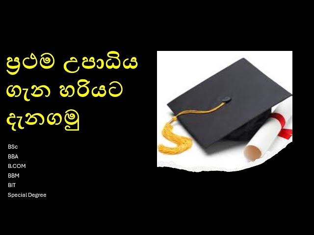 Top Bachelor's Degrees for Commerce Students in Sri Lanka | Career Paths & Opportunities