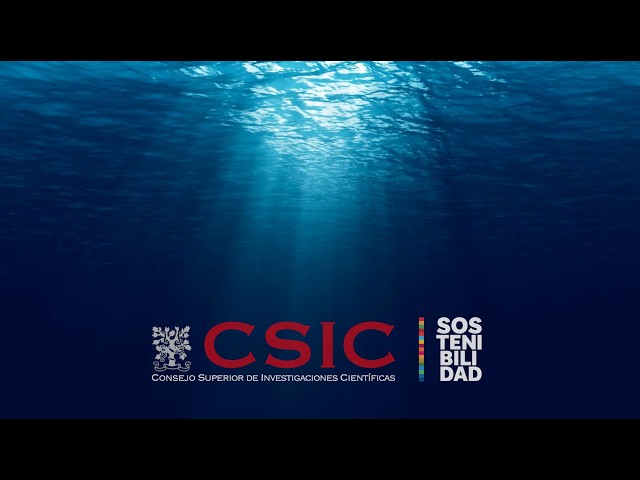 CSIC Sustainability Plan