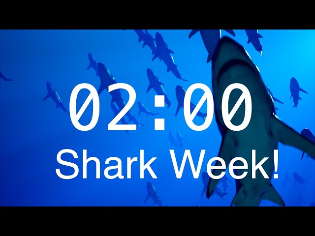 2 Minute Countdown Timer with Alarm | Relaxing Music | Shark Timer