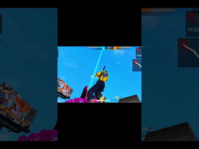 #teej