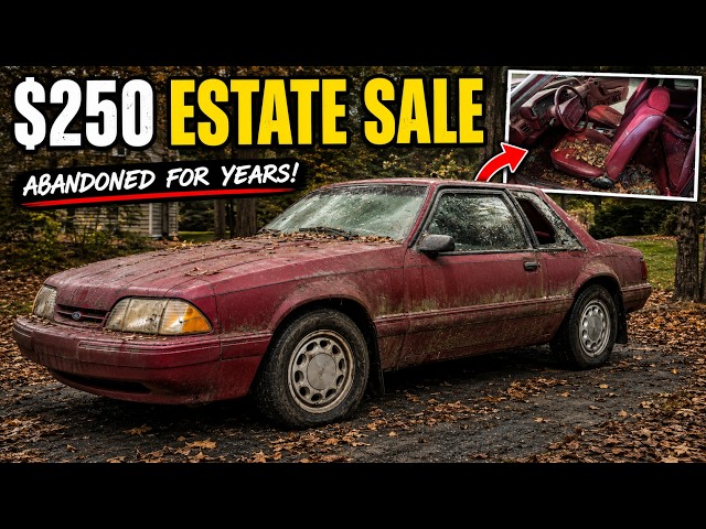Can This ABANDONED $250 Mustang Be Saved?!