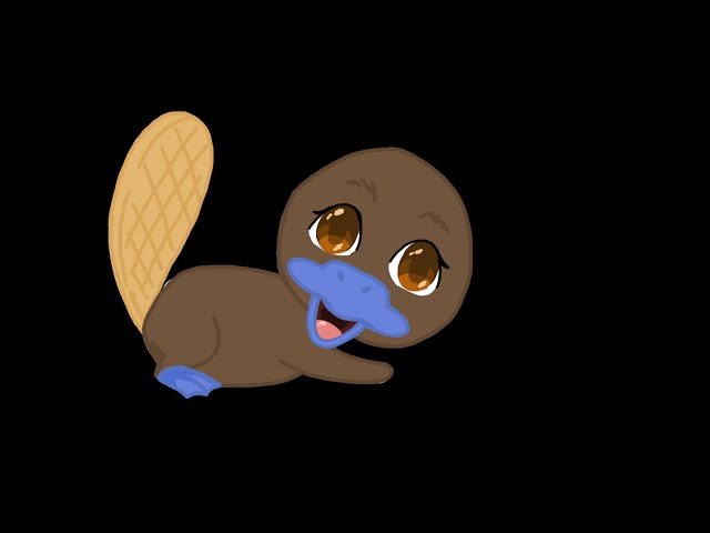 Platypus! My first speedpaint!!