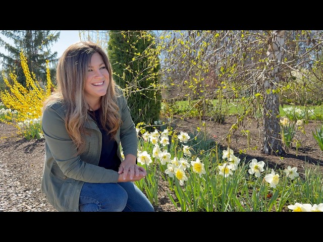 Early April Garden Tour! 🌷🌼☀️ // Garden Answer
