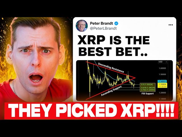 OMG THEY PICKED XRP!!! ("XRP IS THE BEST YET")