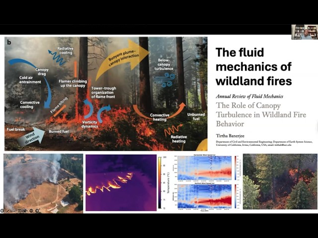 APS DFD Seminar: Fluid Dynamics of Wildfire Spread