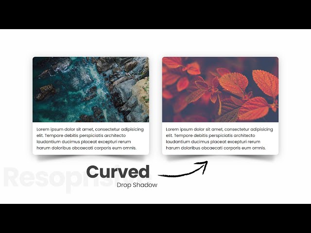 Curved Drop Shadow Effect | For Responsive Card Layout - A CSS Trick - Html & CSS