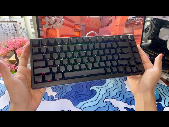 Best Magnetic Keyboard 75% Cost-Effective - AKKO TAC75 HE