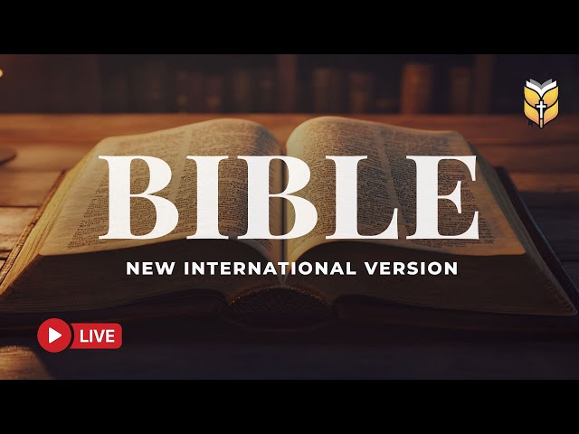 Holy Bible NIV – Words of Faith, Prayer, and Eternal Light 🔴 BibleVision LIVE