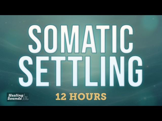Somatic Settling 🌿 | For When the Body Won’t Fully Let Go | Black Screen