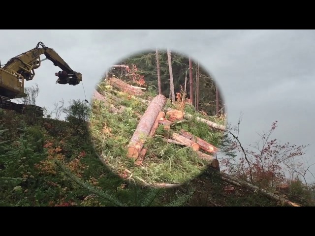 High speed cable yarding logger
