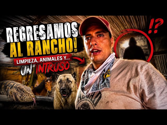 Back to the Ranch: Horses, Reptiles, and an Intruder