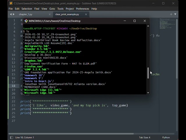 How to Run a Python File in Git Bash using Terminal Commands
