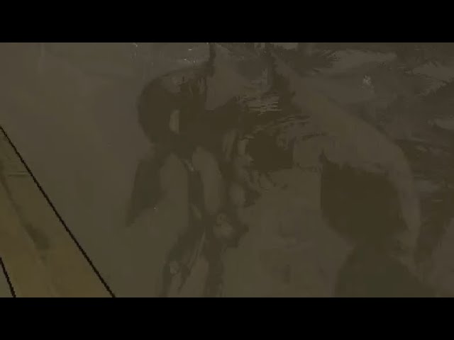 Only Immaculate Plays - Lethal Company High Quota Clips