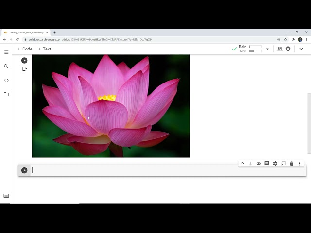 Opencv with Google Colab | Read, Display, and Write Images using OpenCV  in google Colab