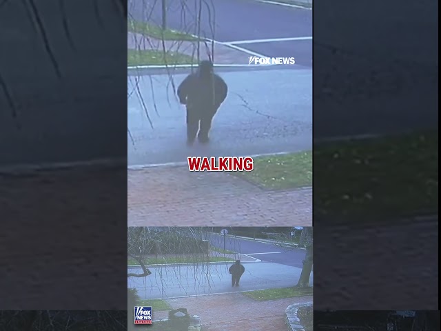 JUST IN: Three new videos RELEASED of suspected Brown University gunman #shorts #breakingnews #fox