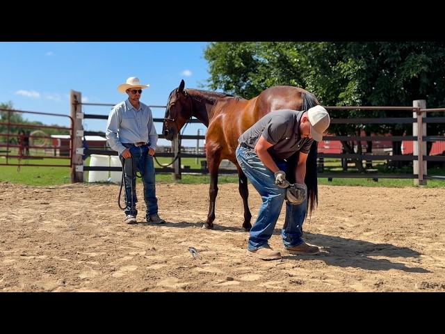 First Hoof Trim on a MUSTANG