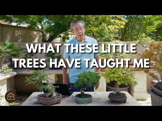 Bonsai Teaches You The Secret to a Better Life