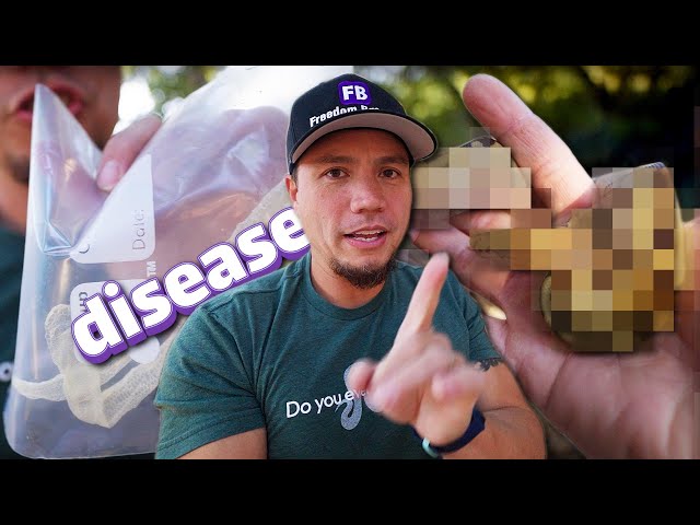 I'm putting this snake in QUARANTINE