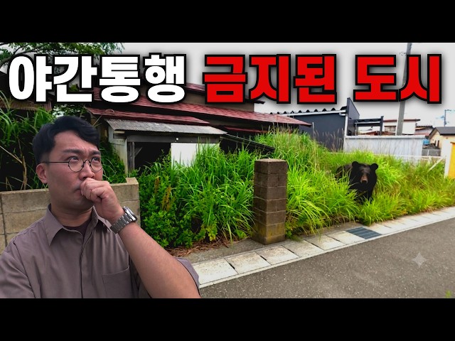 Bears Are Invading Houses in Japan... The Terrifying Reality of Akita