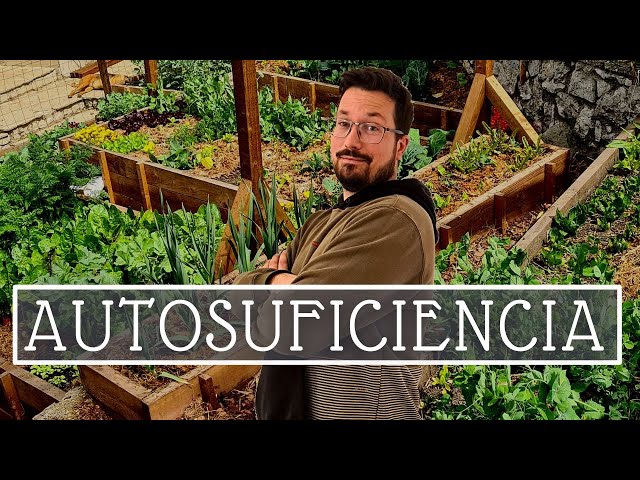 How to be SELF-SUFFICIENT with a GARDEN❓🍅👍