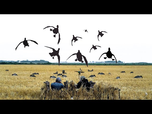 OPENING 2 DAYS DUCK HUNTING CANADA 2026!