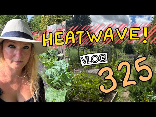 Hot on the Plot! Its been a bit warm.... Ep325 \\ Plot 37