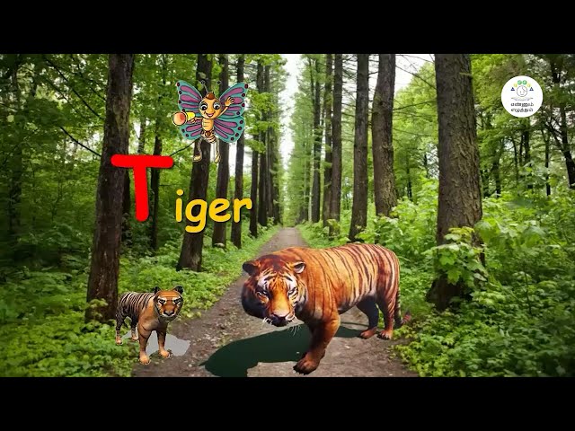 Learn Animal Names in the Jungle | English Vocabulary for Class 1 | FAMILIES | எண்ணும் எழுத்தும்