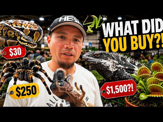 I Asked Reptile Expo Customers What They Bought… And How Much They Paid