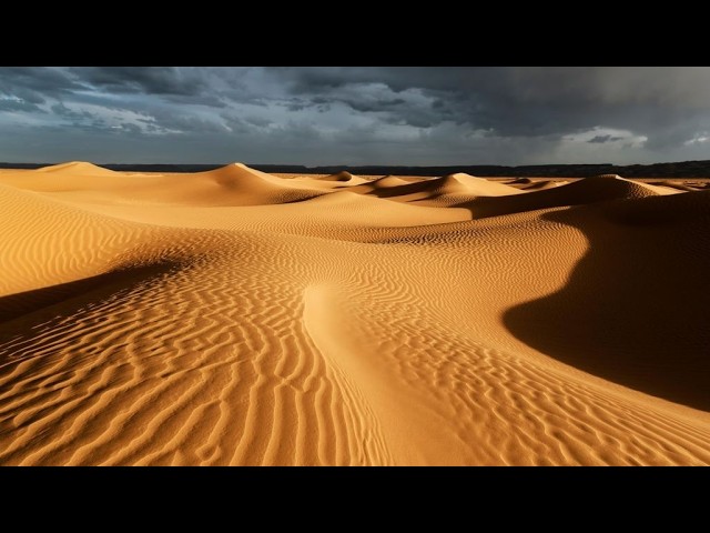 MESHA E SHENJTË JAVA KATËRT E KRESHMEVE