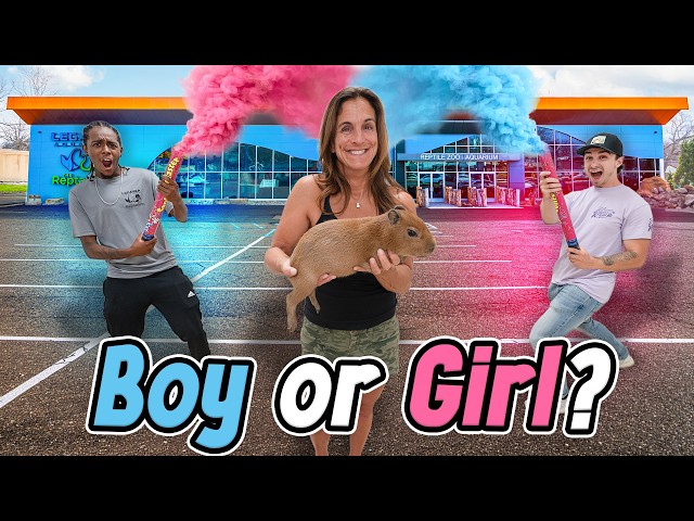 We Hosted a Gender Reveal Party for a Baby Capybara!!
