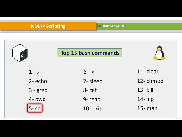 CompTIA Pentest+ | 17. Scripting Basics | 1. Bash Scripting 101