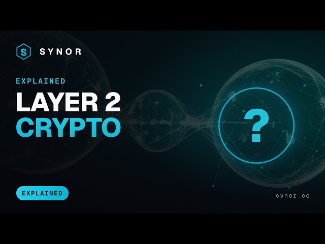 Layer 2 Crypto Explained: Arbitrum, Optimism & Base | Synor Crypto