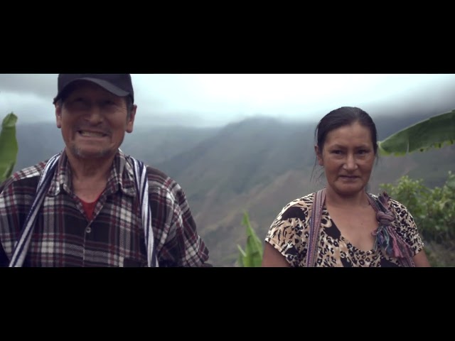 COOP-LDC: FAMILIAS CAFETALERAS UNIDAS POR LA PASION AL CAFE