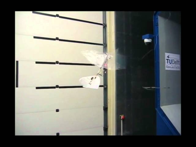 Delfly Freeflight