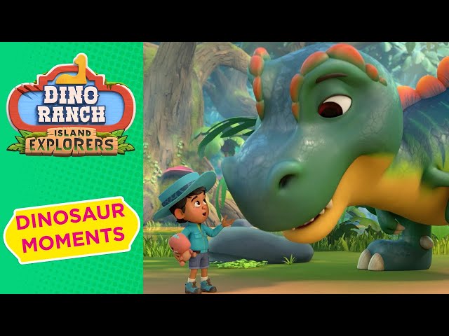 Best Dinosaur Moments 🦕✨ | NEW Dino Ranch: Island Explorers | Boomerang