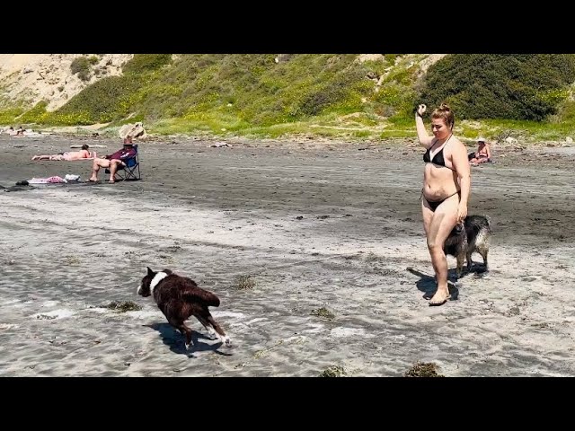 🇺🇸4K[FULL TOUR]Black Beach in California San Diego
