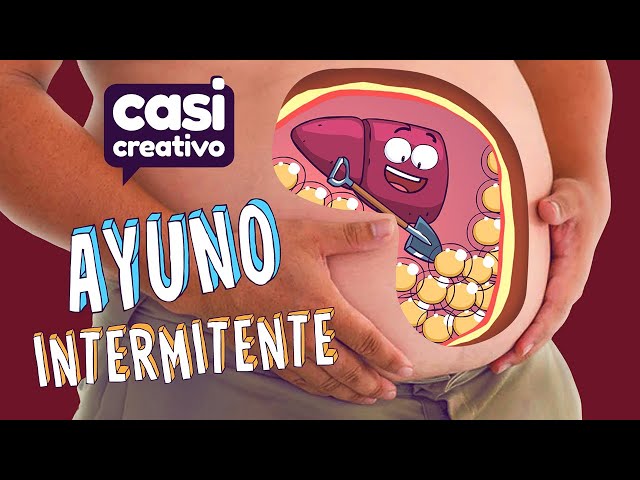 Tus Órganos Cuando Haces Ayuno Intermitente | Casi Creativo