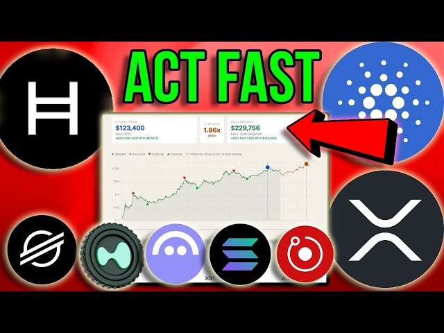 EXACTLY what will happen in the next Bull Run