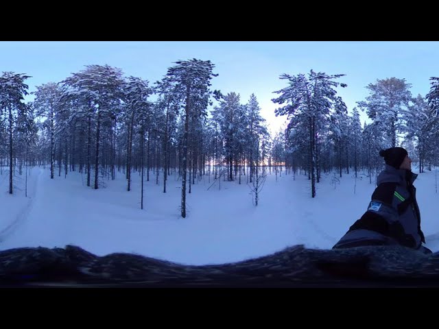 В лесу - 27C° день второй, 360 VR 4K
