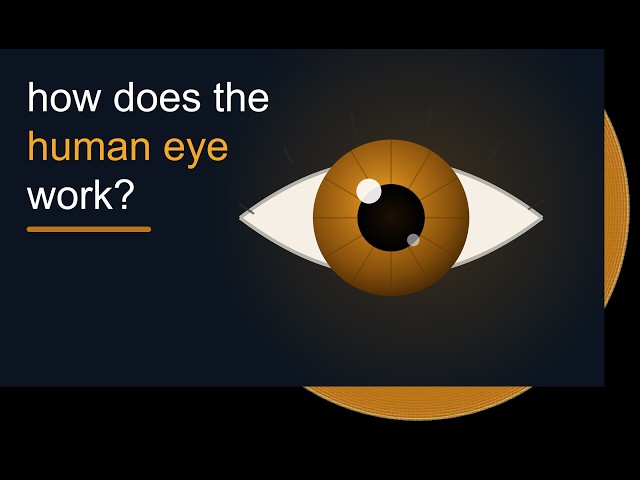 The Human Eye and Colorful Universe