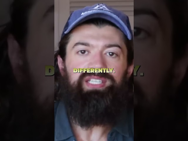 Making money through Arbitrage #motivation #money #arbitrage #alexhormozi  #finance