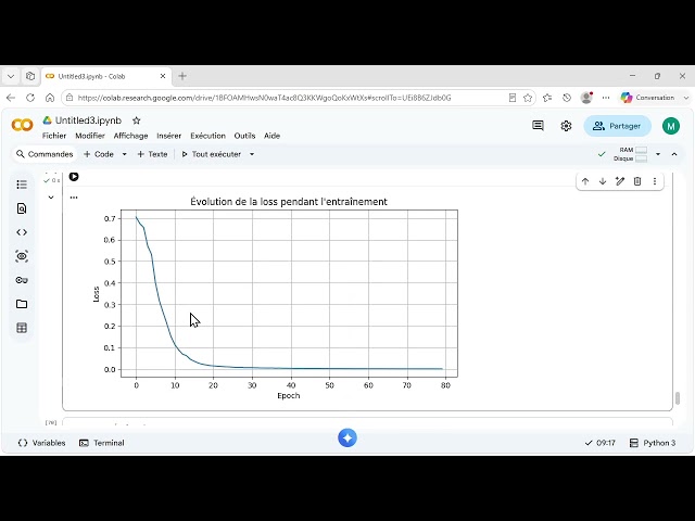 PyTorch : suivre l’apprentissage du modèle avec les courbes loss et accuracy - video 13