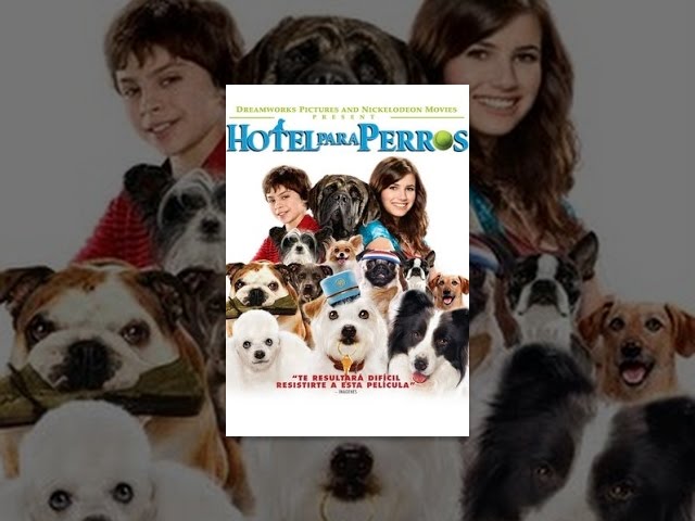 Hotel Para Perros