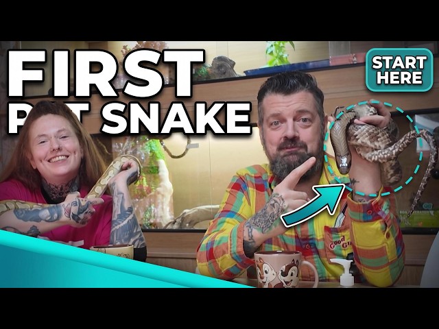 First Pet Snake Truth: Pick Passion Not Rankings