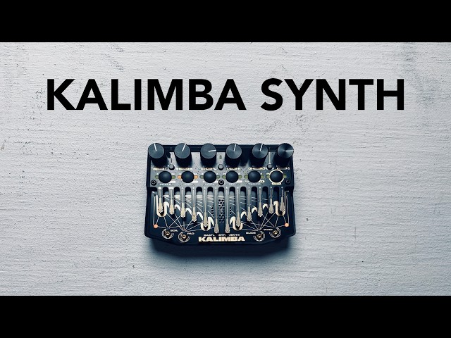 The BASTL Kalimba Synthesizer is completely unique and very cool