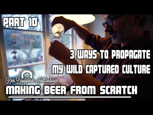 Propagating my wild captured yeast.