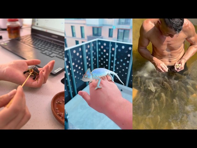 Amazing Links   People and Animals#lovestory #animals #wildliferescue #pets #rescue #love #funny