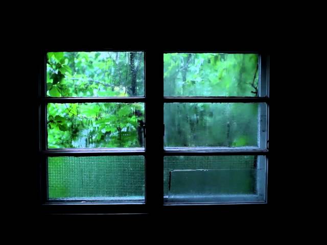 Rain Sound and Thunder - 2 Hours Sleep Meditation Sound