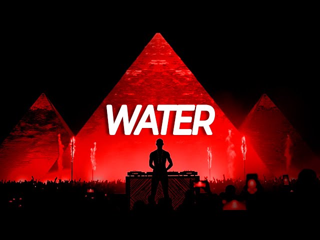 Tyla - Water (Tech House Remix)