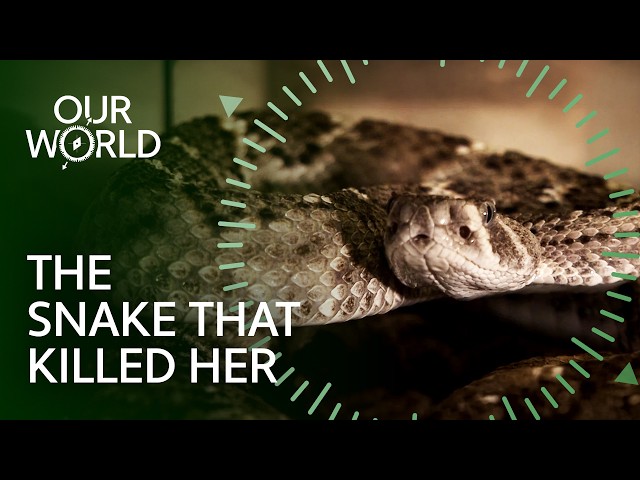 The Deadly Obsession That Cost Her Everything (4K Documentary)